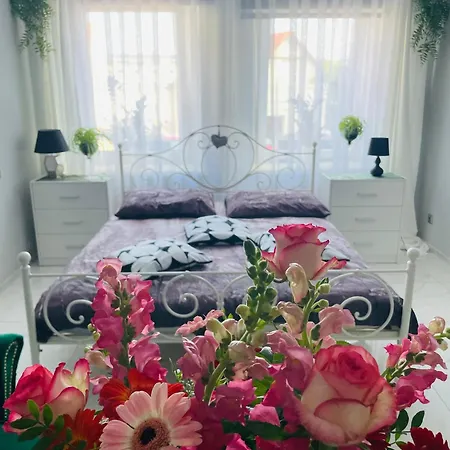 U Danusi 아파트 *